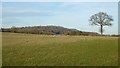 View to Chase End Hill