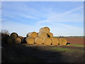 Straw bales near Grange Farm