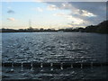 Lake at Nazeing Mead