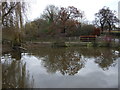 Pond near Brook Lodge