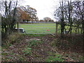 Field entrance off the Leadgate Lane