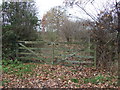 Gated field entrance off Leadgate Lane