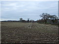 Stubble field near Moss Lane Farm