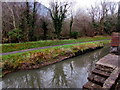 Reflections on the canal, Pontywaun