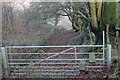 Step-over stile on gate below Pen-y-fan-fach