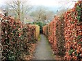 Footpath to Brede Lane