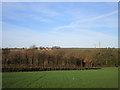 View towards Priors Park Farm