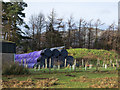 NY3525 : Silage bales at Highgateclose by Trevor Littlewood