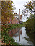 ST2937 : Bridgwater & Taunton Canal by Chris Allen