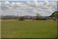 Pasture, Brent Knoll