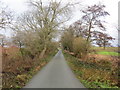 Lane from Limpit Hill to Bromley Hall