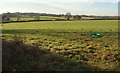 Farmland near Allengrove Farm