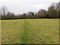 Footpath across a field from Petton Church to Petton Hall