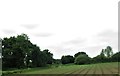 Cropland alongside the M1 near Hillsborough