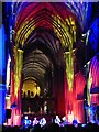 SO8554 : Ian Anderson performing in Worcester Cathedral by Philip Halling