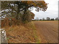 Field edge view from Hinstock Triangulation Pillar