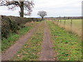 Farm track to Sandy Lane at Lockleywood