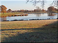 SJ3723 : Pond with wintering geese at Shelvock by Peter Wood