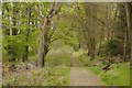 Path, and wheelbarrow, Wapley Hill