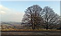 Hall Garth Glaisdale  North Yorkshire