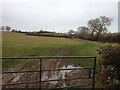 Footpath to Shipston on Stour