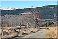 Track, Braes of Taymouth