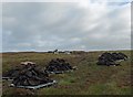 NB4255 : Peat cutting near Borve, Isle of Lewis by Claire Pegrum
