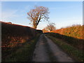 Road between Pentre Morgan and Bryn Goleau