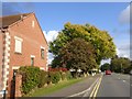 Autumn colour, Kemerton Road, Bredon