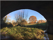 SP3065 : Beneath the Avon Aqueduct, east Warwick by Robin Stott
