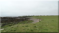 Shoreline leading to Usan near Montrose