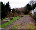 Public footpath on the west side of Pentwyn Road, Trinant