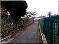 Path towards Trinant Terrace, Pentwyn