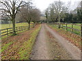 Enclosed track with stiled footpath crossing