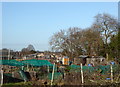 Riddles Road Allotments, Borden