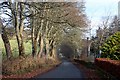 Road to Muir of Fowlis