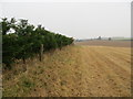 Field edge view from Cotwall Triangulation Pillar