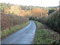 Well Lane near Hopton