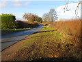 Road near Lower Hopton