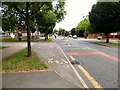 Cycle lane on Turves Road