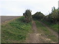 Grand Union Canal Walk