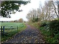 Path leaves the road