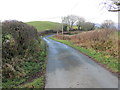 Hedge enclosed country lane near Jaram