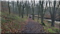 Footpath in the grounds of Wallington Hall