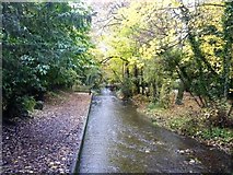 SU1659 : River Avon at Pewsey [3] by Michael Dibb