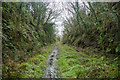 Old Railway Trackbed