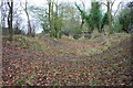 Looking SW along bed of the old Wilts & Berks Canal