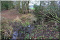 Culverted stream cuts across bed of former Wilts & Berks Canal