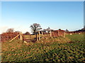 Llwybr Ffarm Bryngwyn / Bryngwyn Farm Path