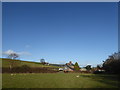 SO2090 : Field near Sarn, Powys. by Jeremy Bolwell